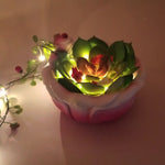 Load image into Gallery viewer, Small World Koi Pond Nightlight
