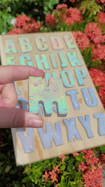 Load image into Gallery viewer, HYPER HOLO letter set
